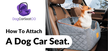 How to attach a dog car seat