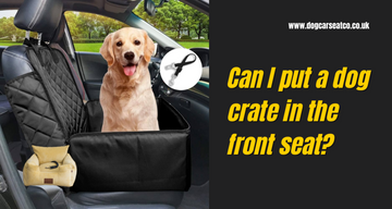 Can I put a dog crate in the front seat?