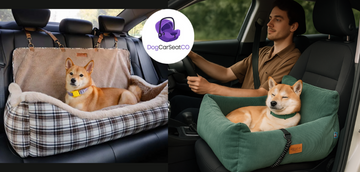 How do you secure a dog car seat?