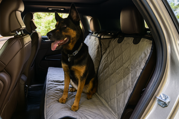 How Dog Car Seat Covers Protect Your Pet’s Health and Comfort