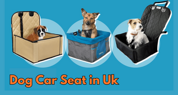 Top-Rated Dog Car Seat for Safe and Comfy Journeys