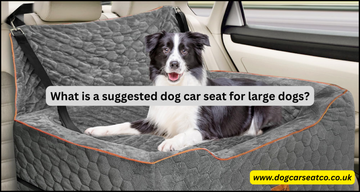 What is a suggested dog car seat for large dogs?