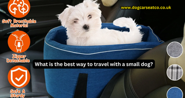 What is the best way to travel with a small dog?