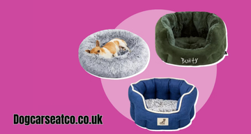 What are the best kinds of beds for small dogs?