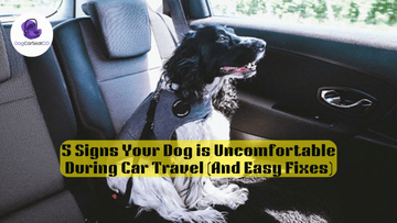 5 Signs Your Dog is Uncomfortable During Car Travel (And Easy Fixes)