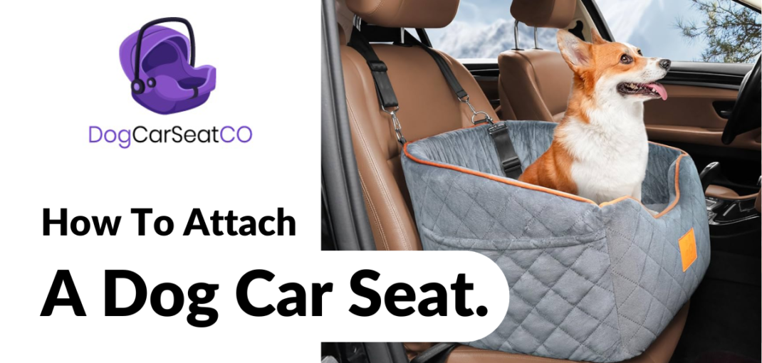 How to attach a dog car seat