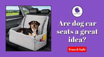 Premium dog car seat securing a small dog safely in a modern vehicle interior
