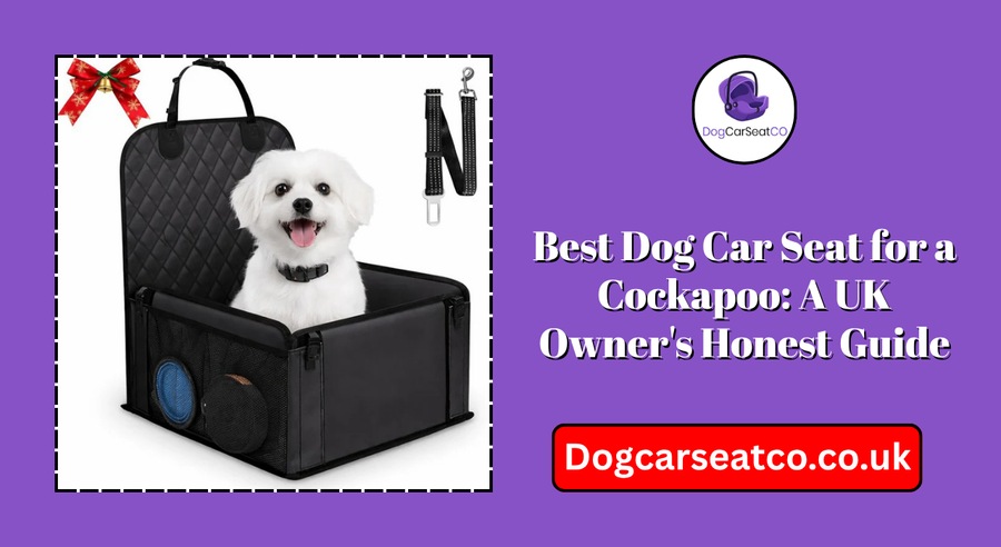 Best Dog Car Seat for a Cockapoo: A UK Owner's Honest Guide