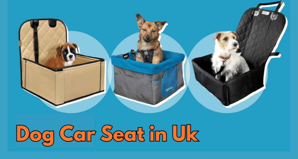 Top-Rated Dog Car Seat for Safe and Comfy Journeys