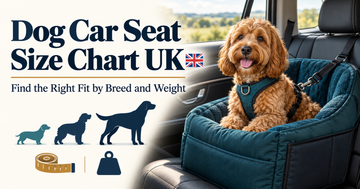Dog Car Seat Size Chart UK: Find the Right Fit by Breed and Weight