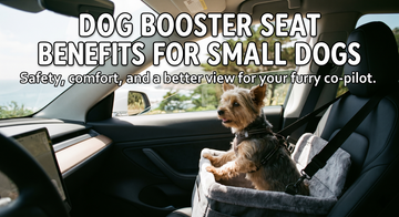 Dog booster seat benefits for small dogs