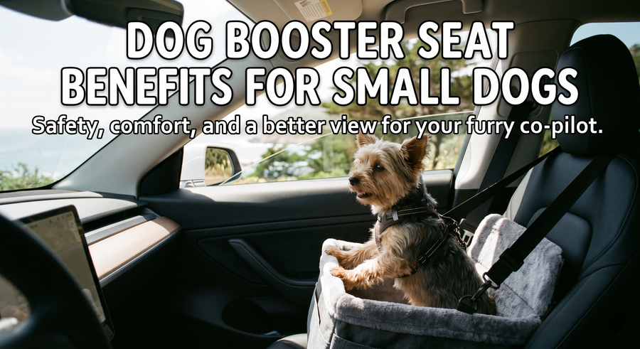 Dog Booster Seat Benefits For Small Dogs