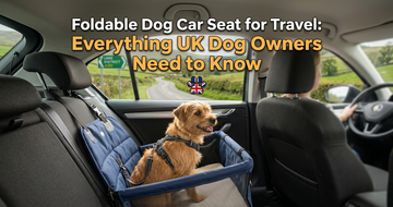 Foldable Dog Car Seat for Travel: Everything UK Dog Owners Need to Know