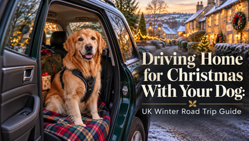 Driving Home for Christmas With Your Dog: UK Winter Road Trip Guide