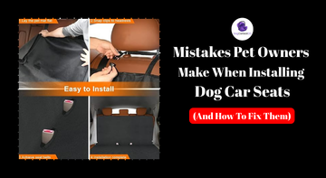Mistakes Pet Owners Make When Installing Dog Car Seats (And How To Fix Them)