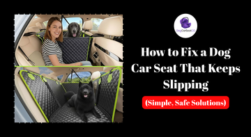 How to Fix a Dog Car Seat That Keeps Slipping (Simple, Safe Solutions)