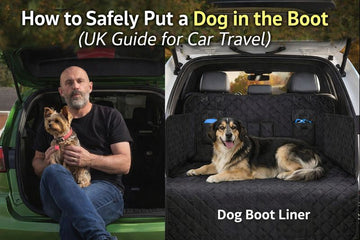 How to Safely Put a Dog in the Boot (UK Guide for Car Travel)