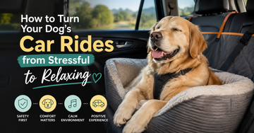 How to Turn Your Dog’s Car Rides from Stressful to Relaxing