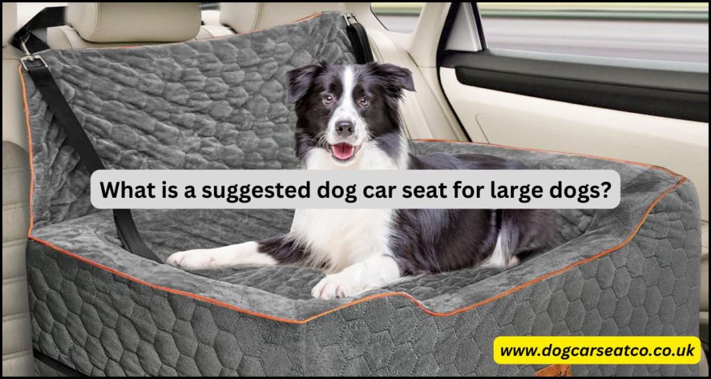 What is a suggested dog car seat for large dogs?