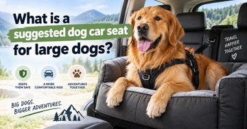 What is a suggested dog car seat for large dogs?