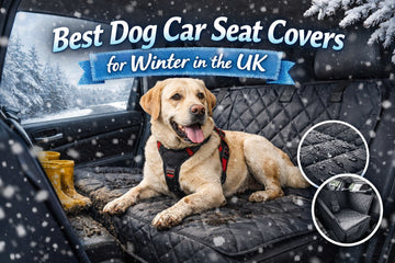 Best Dog Car Seat Covers for Winter in the UK