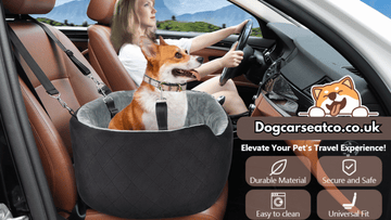 Small Dog, Big Adventures: Best Car Seat Tips for Tiny Breed