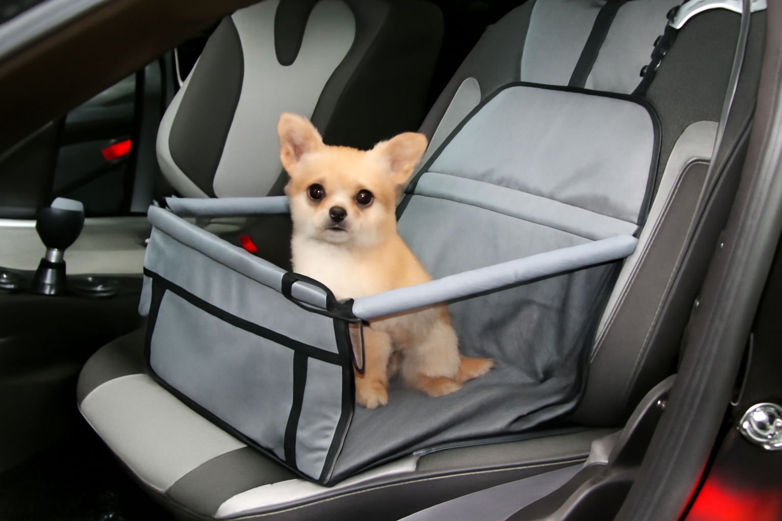 2 Foldable Dog Booster Car Seat & Travel Carrier
