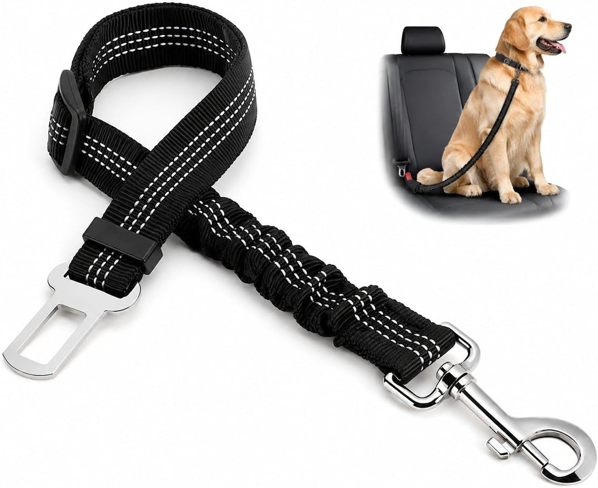 Black adjustable dog car seat belt with elastic bungee, shown with dog secured on rear seat