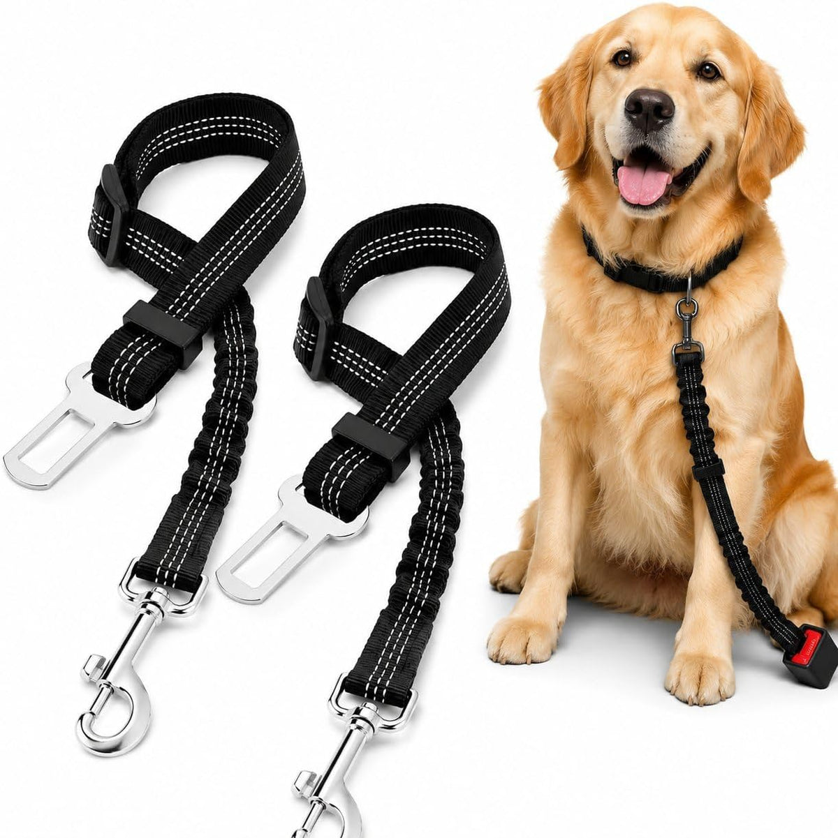 2-pack black dog car seat belts with golden retriever wearing one