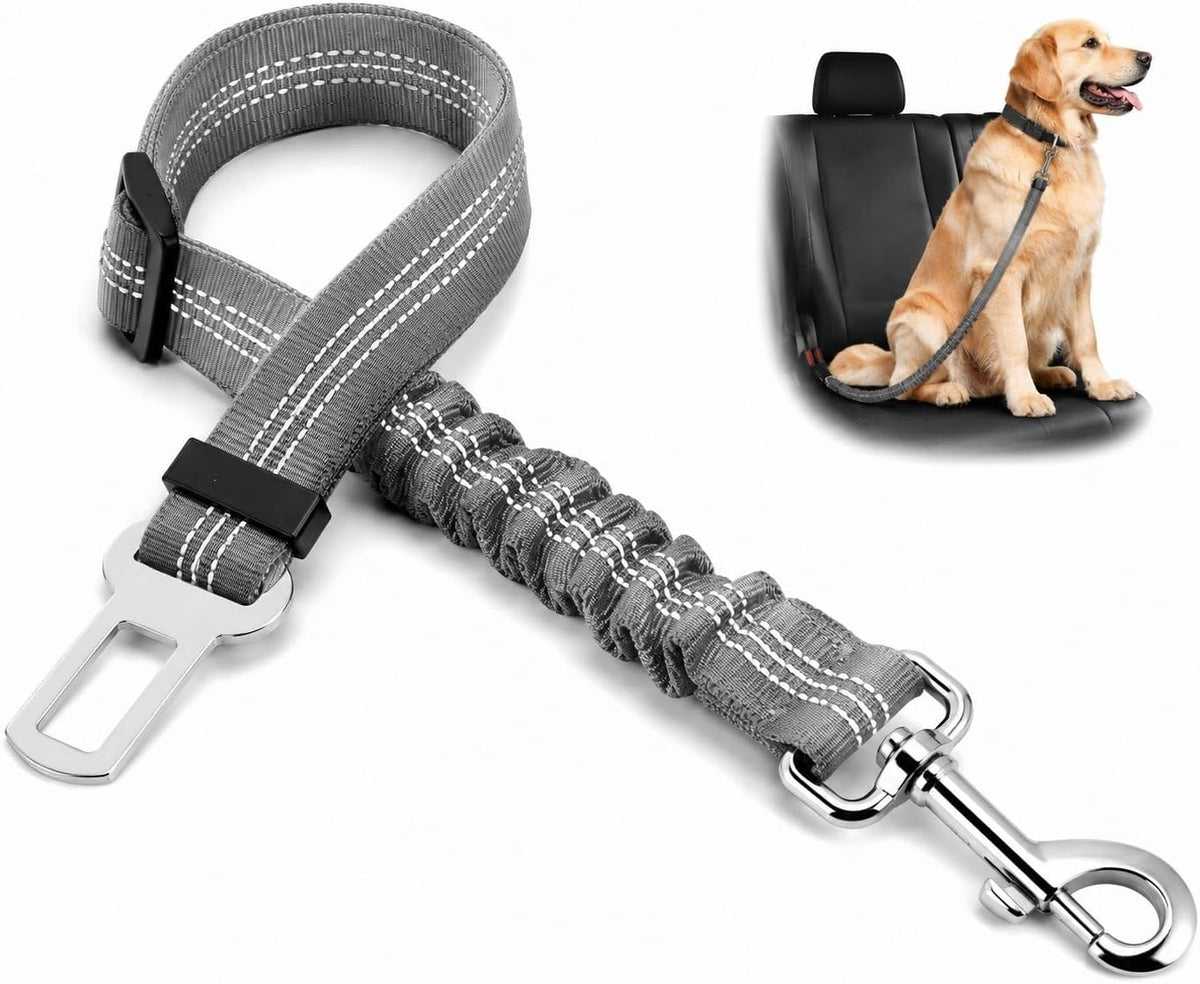 Grey adjustable dog car seat belt with elastic bungee, shown with dog secured on rear seat