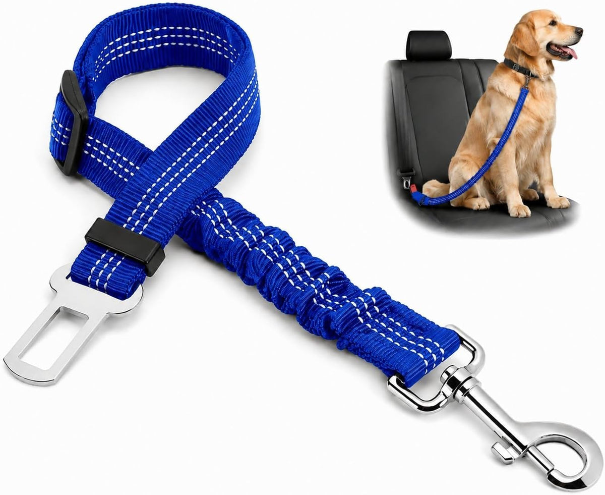Blue adjustable dog car seat belt with elastic bungee, shown with dog secured on rear seat