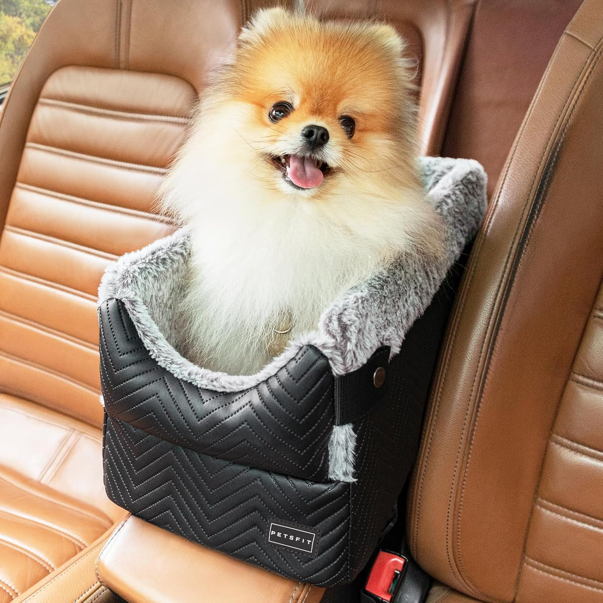 Pomeranian in black classic console dog car seat