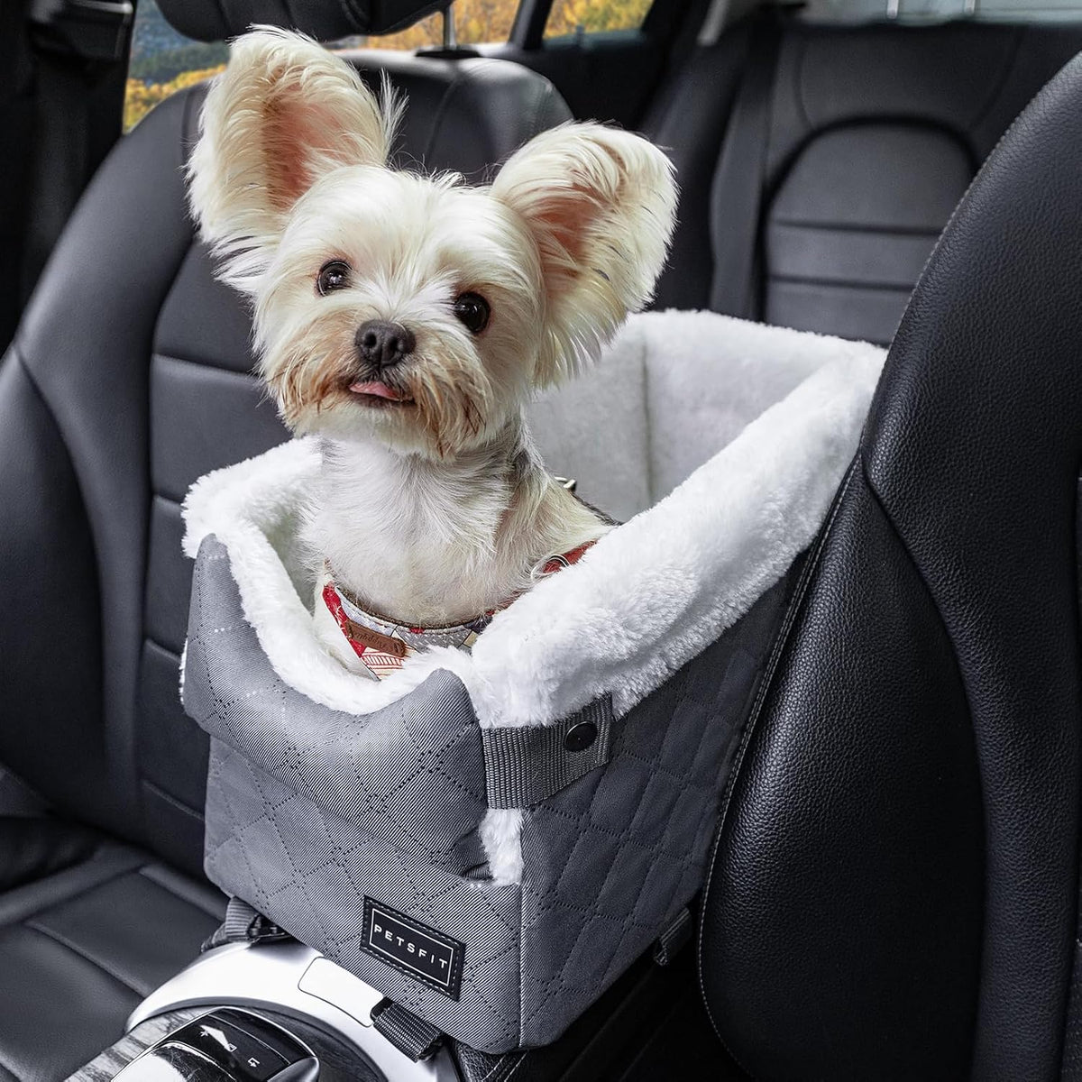 Deep grey classic centre console dog car seat with small dog