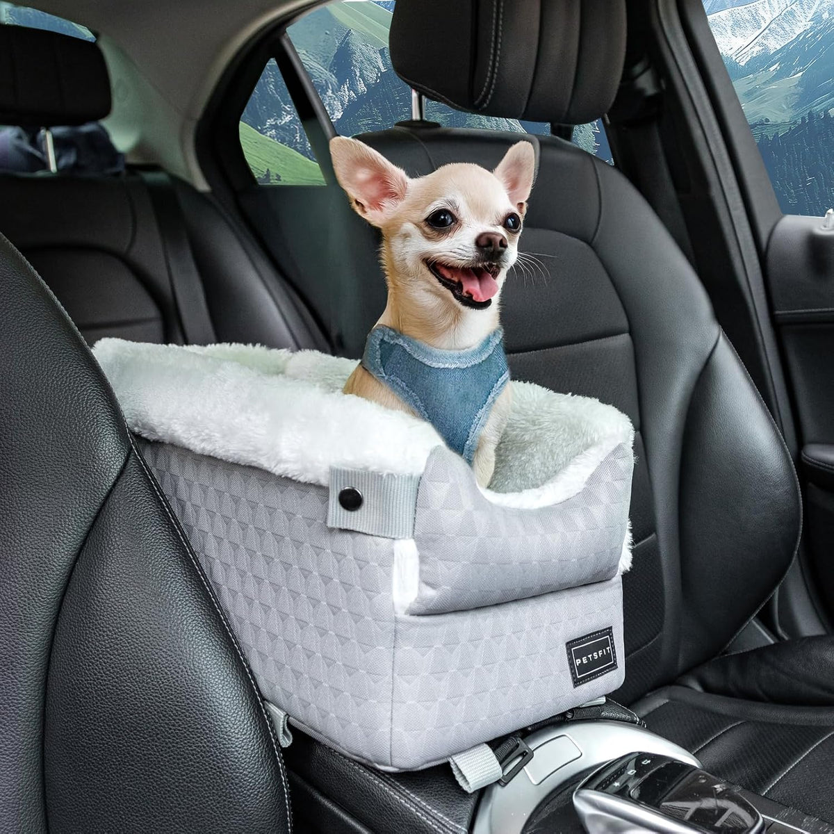 Light grey classic centre console dog car seat with chihuahua