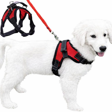 Breathable Mesh Dog Harness
