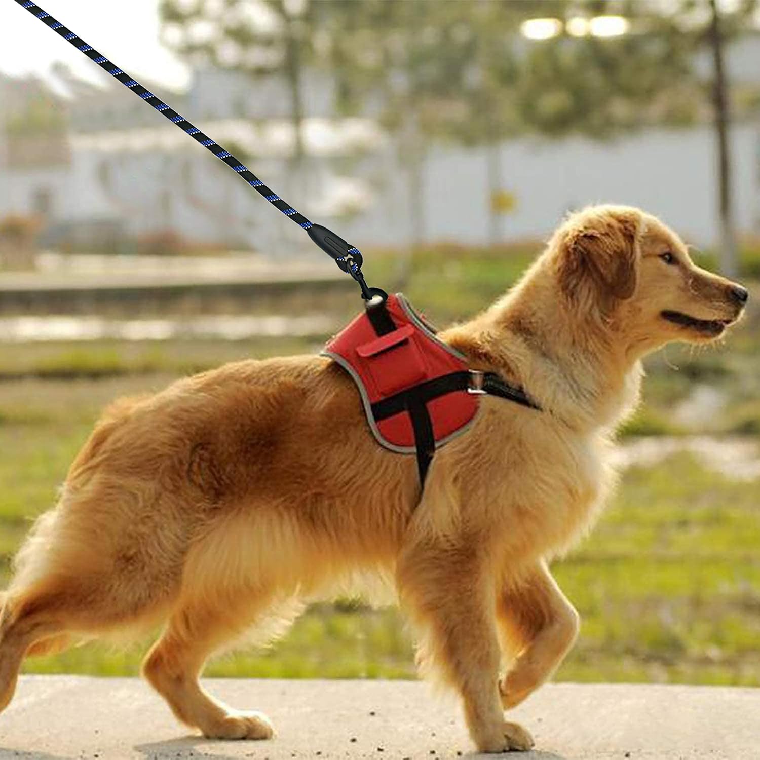 Candure Dog Leash 5 FT, Soft Padded Rope Handle, Anti Slip Grip, Reflective Strong Lead for Puppy, Medium and Large Dogs