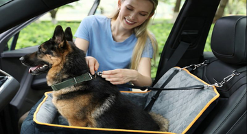 Dog Car Seat