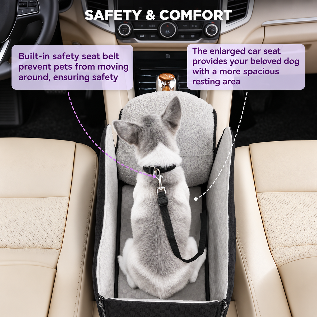 Dogsittingincarseat