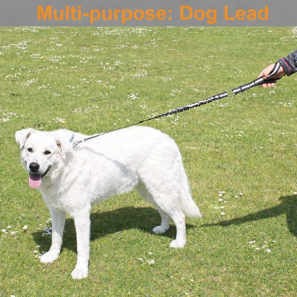 Extra Long Dog Seat Belt for Car | Adjustable Headrest Harness with Reflective Safety Strap