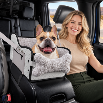 French_Bulldog_Road_Trip_Comfort