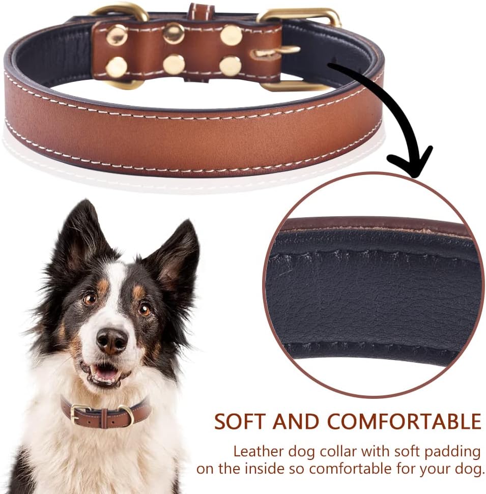 Genuine Leather Padded Dog Collar, Soft & Sturdy, Fits Small Medium Large Dogs