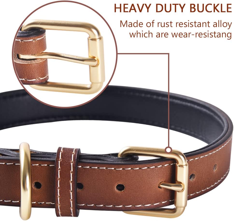 Genuine Leather Padded Dog Collar, Soft & Sturdy, Fits Small Medium Large Dogs