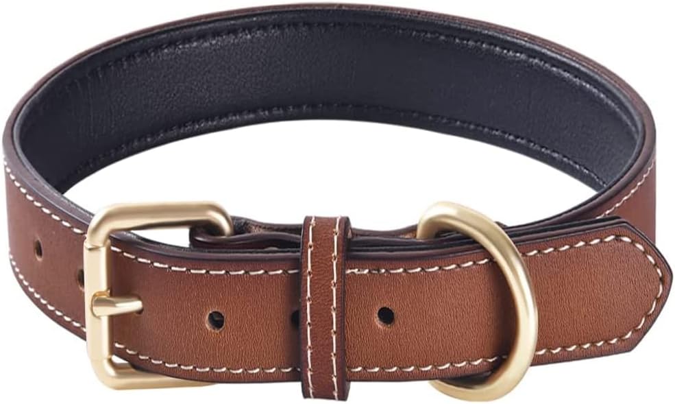 Genuine Leather Padded Dog Collar, Soft & Sturdy, Fits Small Medium Large Dogs