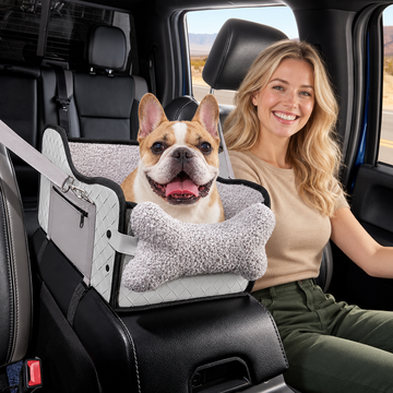 Happy_French_bulldog_in_gray_travel_carrier