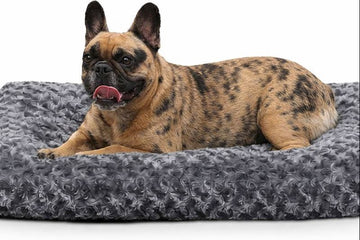 Small Dog Bed Washable Dark Grey, 90x45x7cm