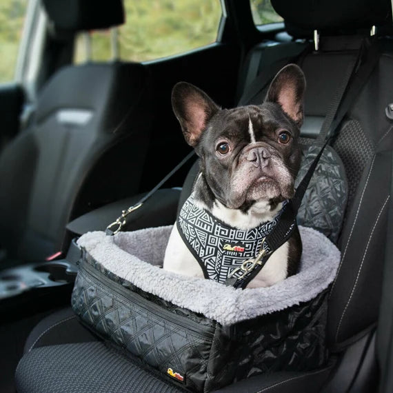 Luxury Small Dog Car Seat – Booster for Small Pets, Safe & Comfortable Travel