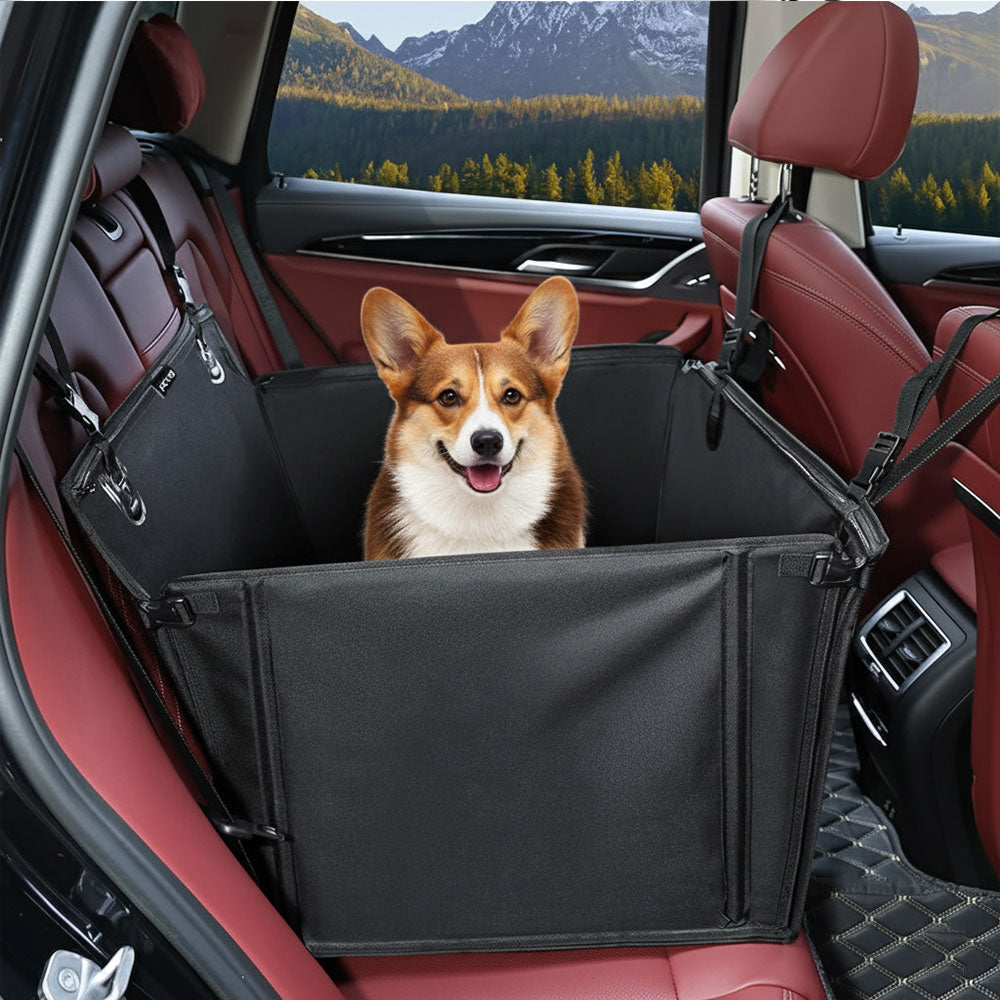 Medium Dogs up to 18 KG - With 4 Fastening Straps for Back Seat