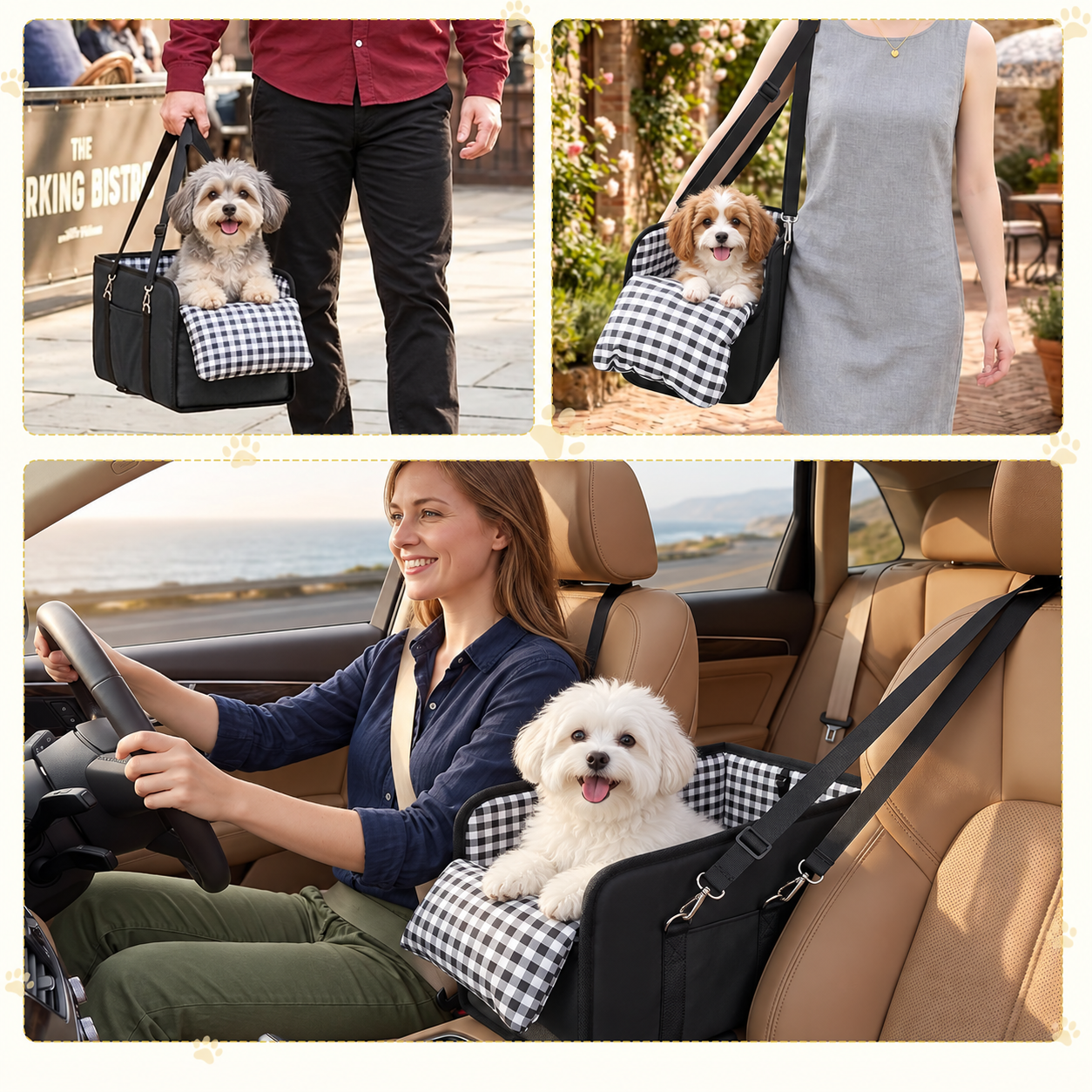 Portable pet carrier life style travel scenes