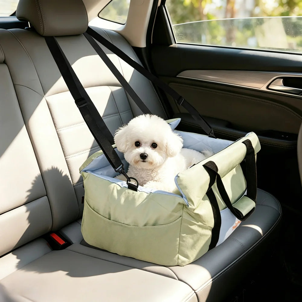 Small dog in a padded dog car seat
