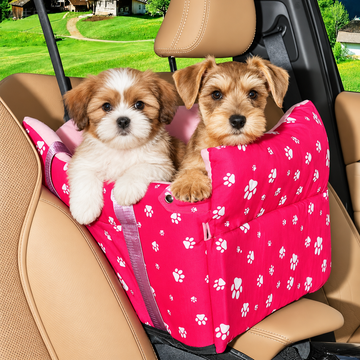 Two_puppies_in_a_pink_carrier